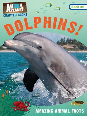 cover image of Dolphins! (Animal Planet Chapter Book #6)
